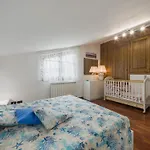 Casa Al Pianaccio By Interhome Ruosina
